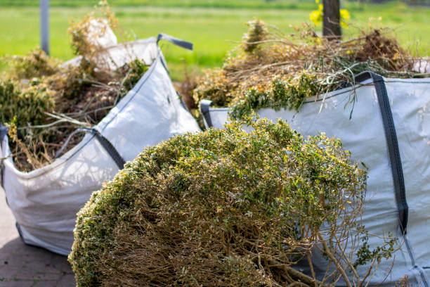 Best Yard Waste Removal  in Factoryville, PA